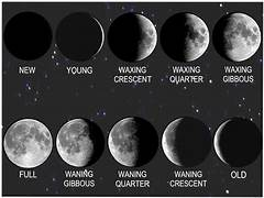 Moon Phases.png