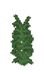 Large fern.png