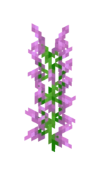File:Lilac.webp
